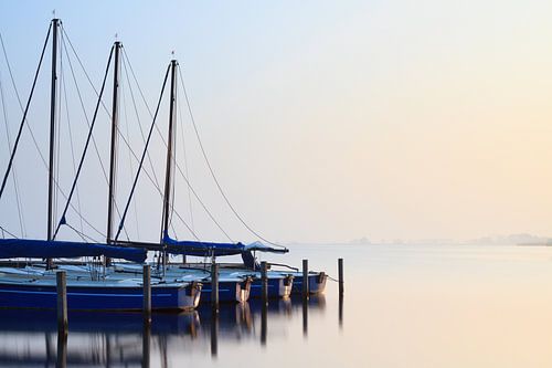 Erste Frühlingssonnenstrahlen - Leekstermeer, Niederlande