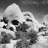 Skull Rock Joshua Tree in schwarz-weiß - Schöner Park mit Felsen bei Twentynine Palms USA von Marianne van der Zee