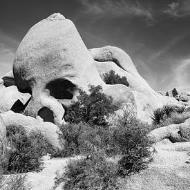 Skull Rock Joshua Tree in zwartwit - Mooi park met rots vlak bij Twentynine Palms USA van Marianne van der Zee