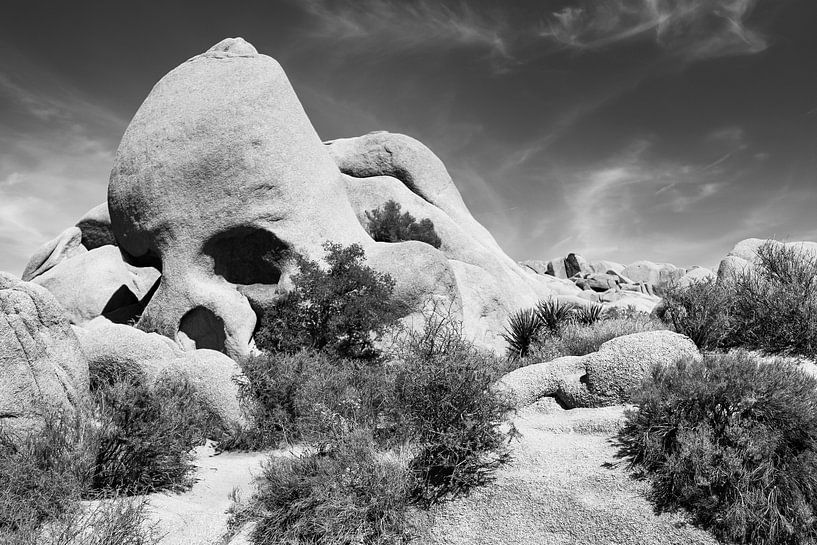 Skull Rock Joshua Tree en noir et blanc - Beau parc avec rocher près de Twentynine Palms USA par Marianne van der Zee