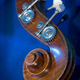 Muziekinstrument cello van Michael Baron
