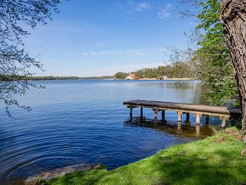 Boat jetty at the Mecklenburg Lake District in springtime by Animaflora PicsStock