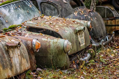 Roestige erfenissen in het bos - autokerkhof in Zweden
