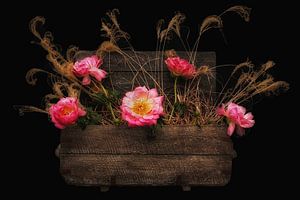 Rustikale Romantik VII - Bauernrosen in einer Vintage Truhe