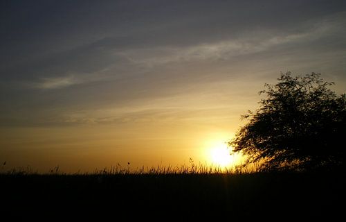 colourful landscape von joost vandepapeliere