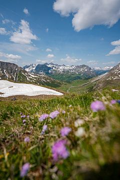 Bloemrijk uitzicht op de Lechtaler Alpen van Leo Schindzielorz