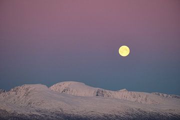 Volle maan boven besneeuwde bergen van Anouk van Heumen