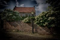 The cottage