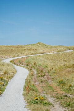 Fietspad door de duinen van Vlieland van Jan