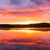Sonnenaufgang am See III von Daniela Beyer