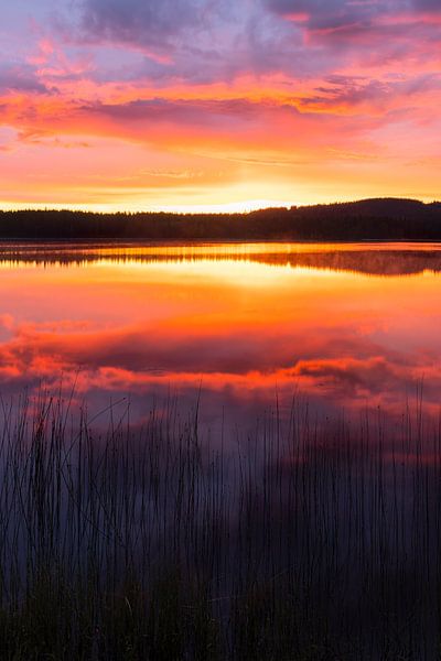 Sunrise at the lake III by Daniela Beyer