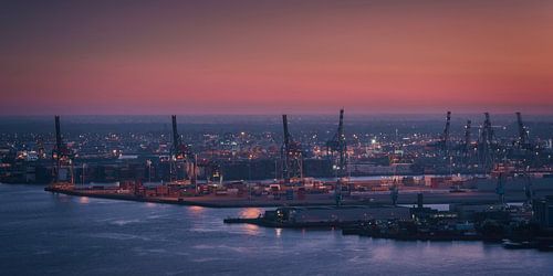 Port en lueur : une épopée industrielle au coucher du soleil