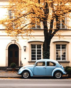 Coccinelle sous l'arbre d'or