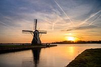 100% Holland