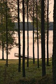 Sonnenlicht durchflutet den Wald am See mit Hütten, friedliche Naturidylle