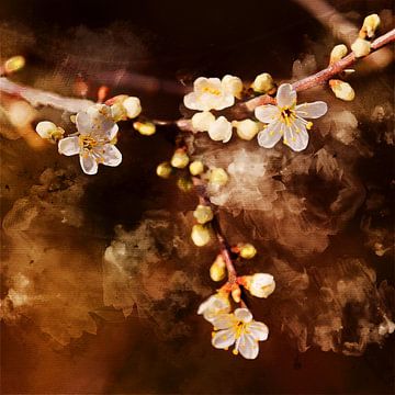 Frühlingsblüten von Art by Jeronimo