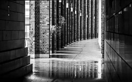 Backsteinsäulen, Zweige und eine Pfütze