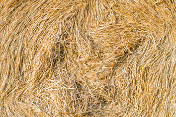 Golden Hay Bale Straw Texture Abstract Geometric Pattern