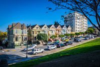 Painted ladies