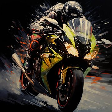 Kawasaki Ninja artistiek van The Xclusive Art