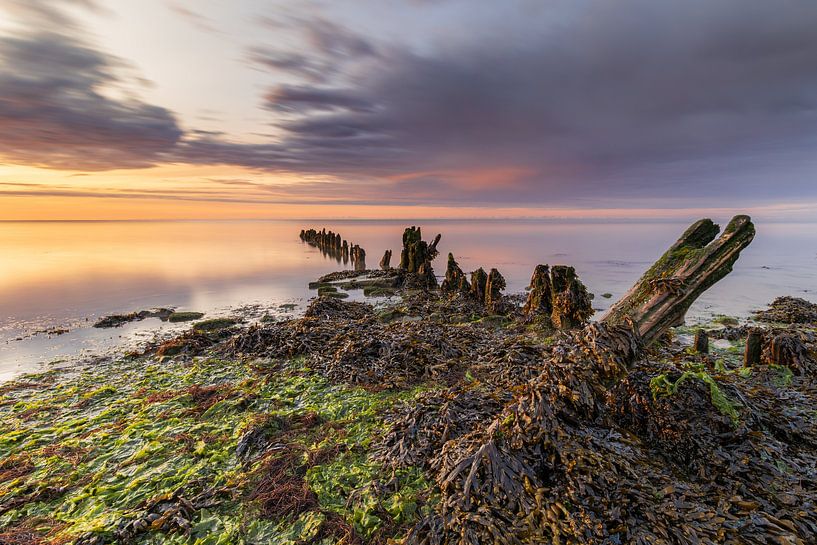Met zeewier bedekte oude golfbreker aan de Waddenzee van Bram Lubbers