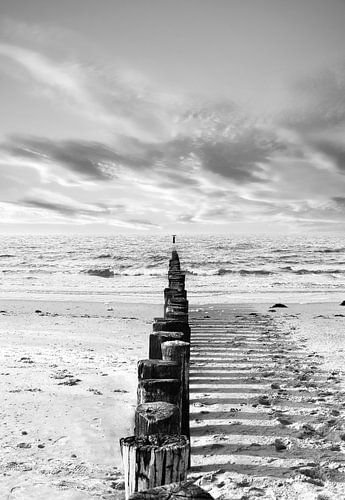 Casting Shadows by Jacky