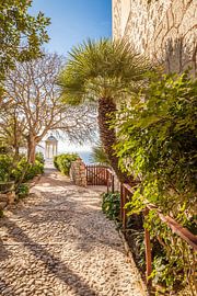 Garden at Son Marroig, Mallorca by Christian Müringer