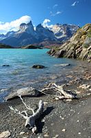 Torres del Paine National Park in Chile with azure water and branches in the foreground