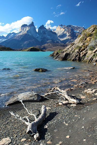Torres del Paine Nationalpark in Chile mit azurblauem Wasser und Ästen im Vordergrund von A. Hendriks