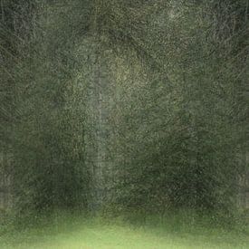 Versteckter Eingang Wald von Jacques Willems
