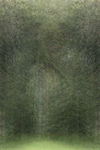 Versteckter Eingang Wald