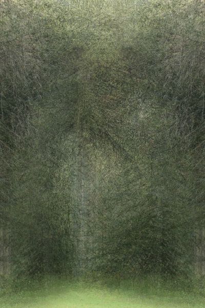 Versteckter Eingang Wald von Jacques Willems