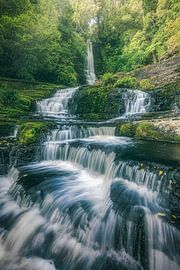 New Zealand McLean Waterfall in the Catlins by Jean Claude Castor
