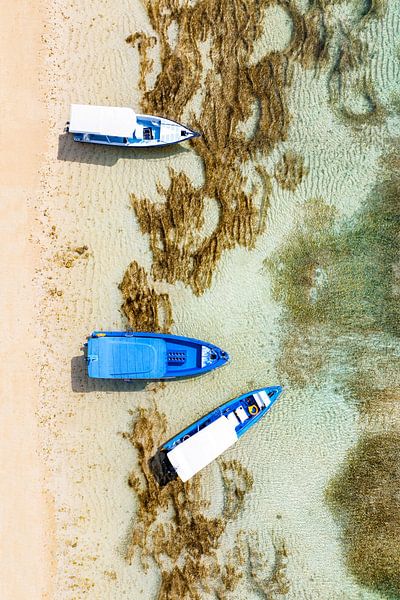 Aerial Summer - Blaue Boote von Philippe HUGONNARD