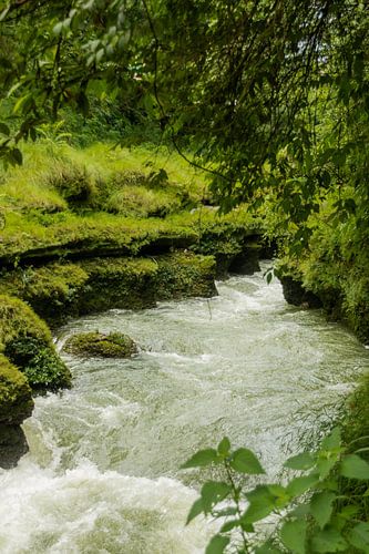 Rivière de montagne