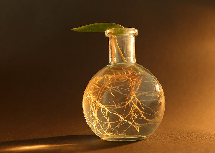 Pfannkuchenschnitt auf Vase von Wim Zoeteman