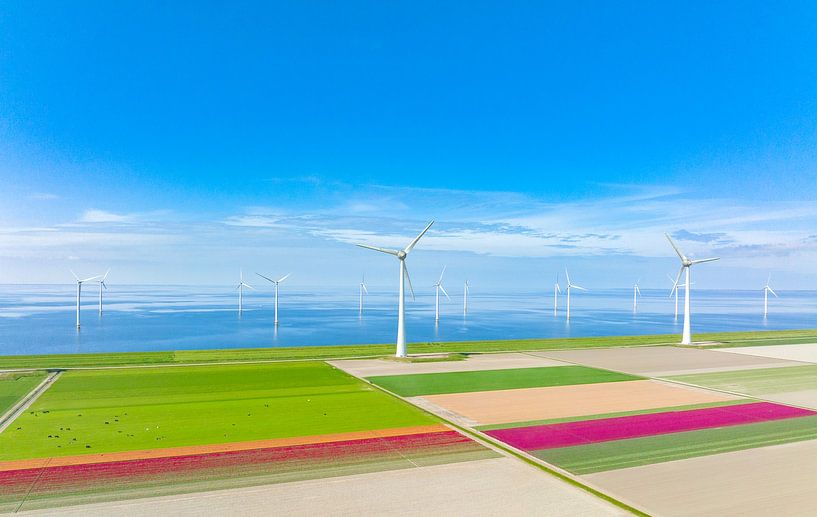 Tulpen in velden in de lente van bovenaf gezien van Sjoerd van der Wal Fotografie