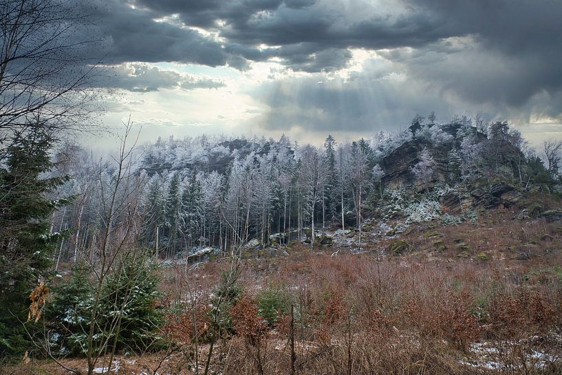 Zschirnstein met besneeuwde bomen en mist op de top van Martin Köbsch