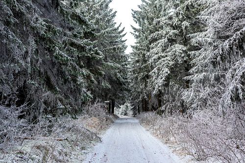 Prachtig winterlandschap op de hoogten van het Thüringer Wald