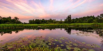 Farbenfroher Sonnenuntergang am Wasser von Dafne Vos