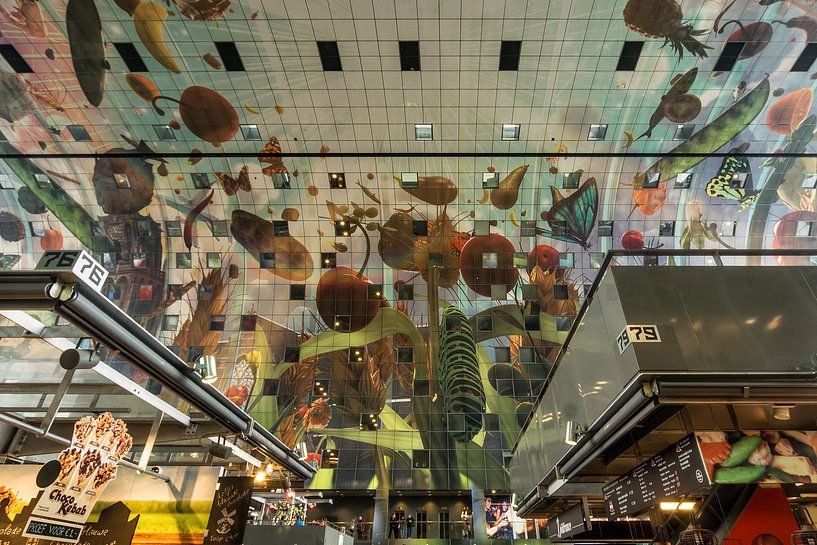 Visuals by Mario de Lijser