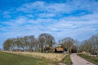 Landschap aan de rand van het Amstelmeer in Noord Holland van Harrie Muis thumbnail
