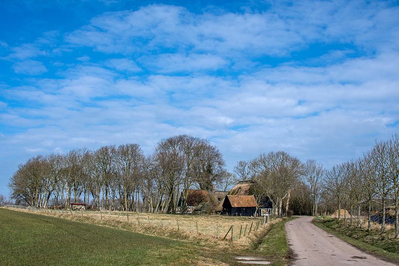 Landschap aan de rand van het Amstelmeer in Noord Holland von Harrie Muis