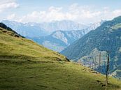Alpen Meadow by Joshua van Nierop thumbnail
