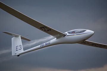 Ausführung ASG29 Glider von Arjan Vrieze