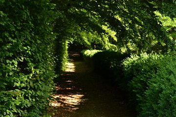 de groene tunnel von Dennis Brok