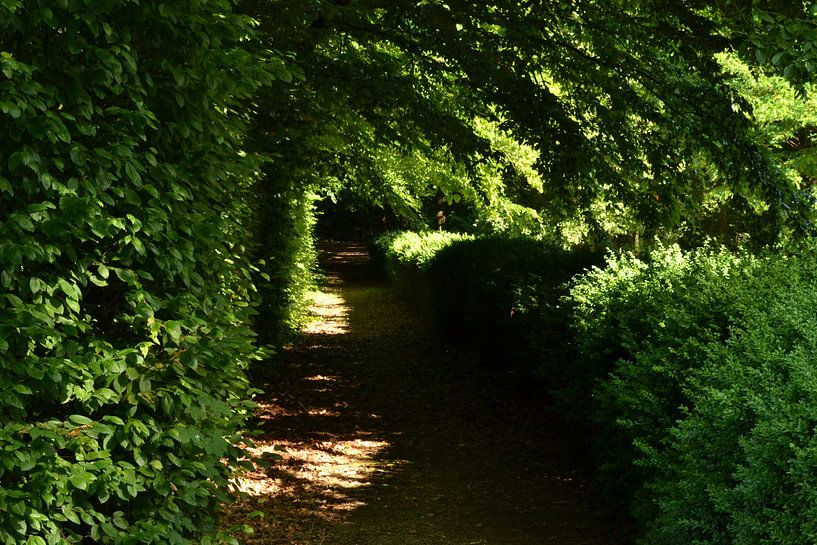 de groene tunnel van Dennis Brok