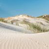 Vogelspuren im Sand zwischen Strandhafer von Fotografie Egmond