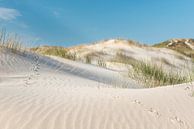 Vogelspuren im Sand zwischen Strandhafer von Fotografie Egmond Miniaturansicht