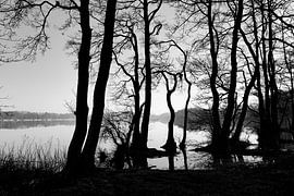 Filigranes Meisterwerk von Heiko Westphalen